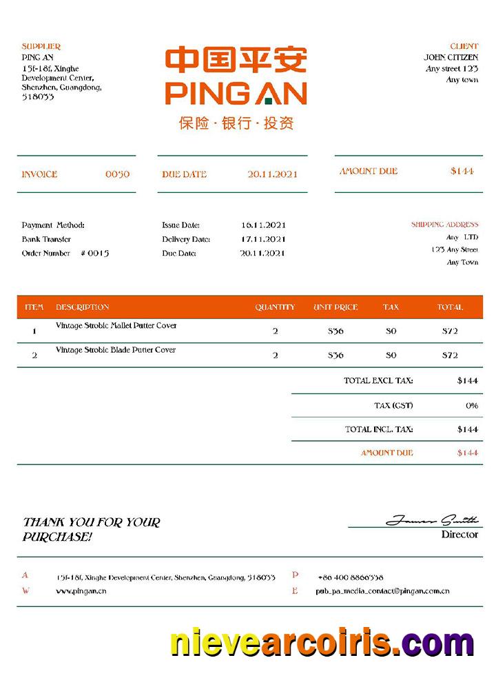 USA Ping An invoice